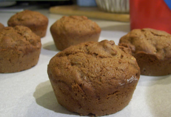 shaker squash muffins