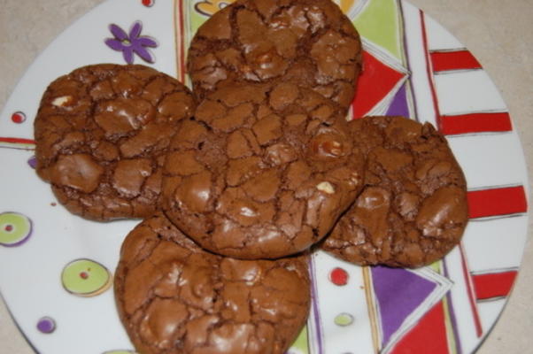 ghirardelli dubbele chocolade koekjes