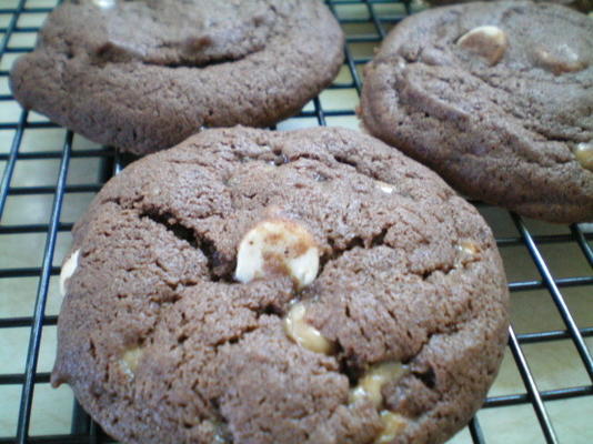 magnolia bakkerij's chocolade drop cookies