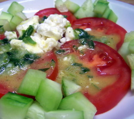 tomaat en komkommersalade met feta en honingmosterddressing