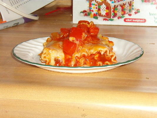 kip enchilada lasagne bundels