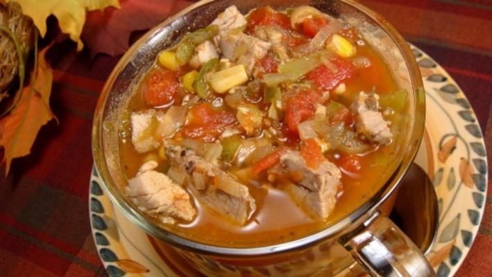 overgebleven varkenshaas crock pot chili