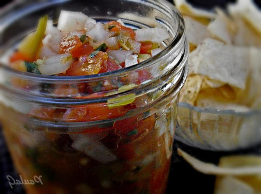 zelfgemaakte salsa en gefrituurde tortillachips met kruiden - deen