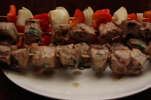 tonijn spiesjes