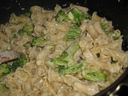 pasta schelpen met gorgonzola kaassaus
