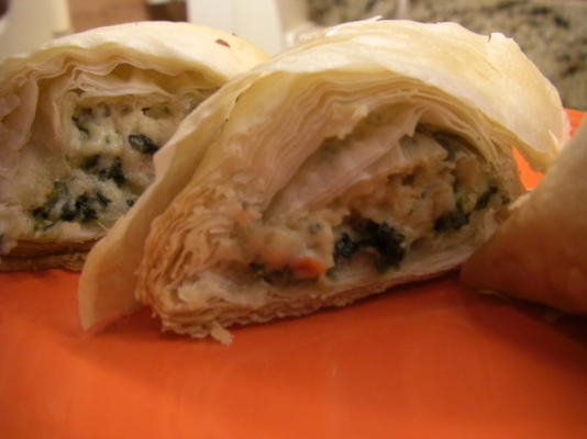 spinazie phyllo roll ups