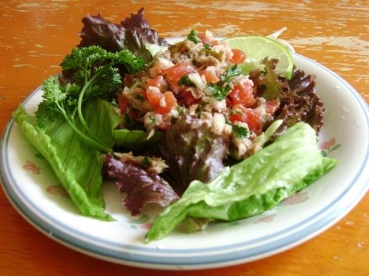 cebiche de atun (peruviaanse tonijn ceviche in blik)