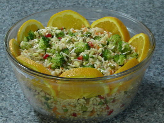 lichte en verfrissende orzo salade