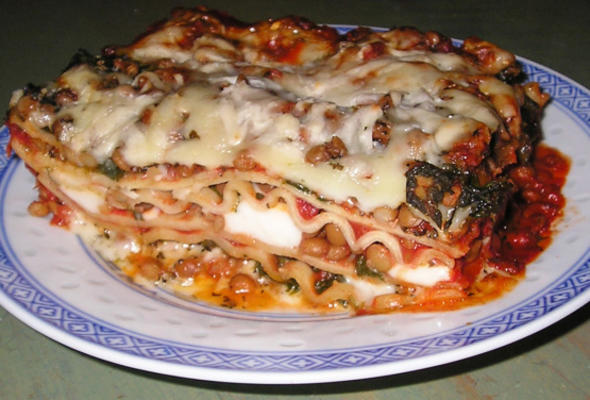 spinazie en linzen lasagne