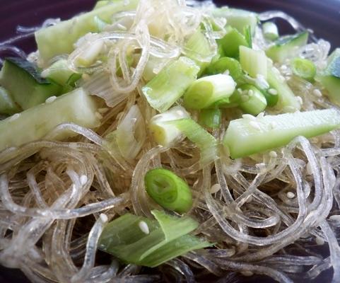 Japanse noedel en komkommersalade