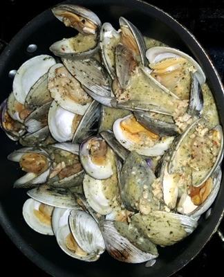 kokkels in boterkruidkruid