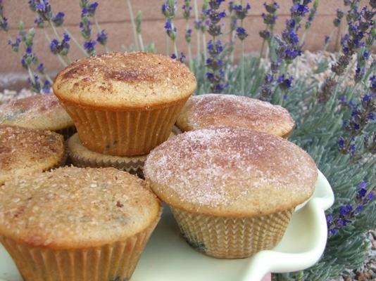 elegante karnemelk-bosbessenmuffinmuffins