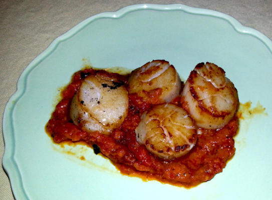 gegrilde coquilles met rode pepersaus