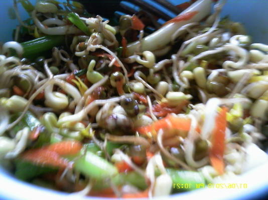 boonspruit salade (dow ngah)