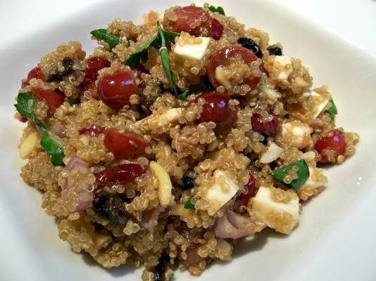 druif en quinoa salade