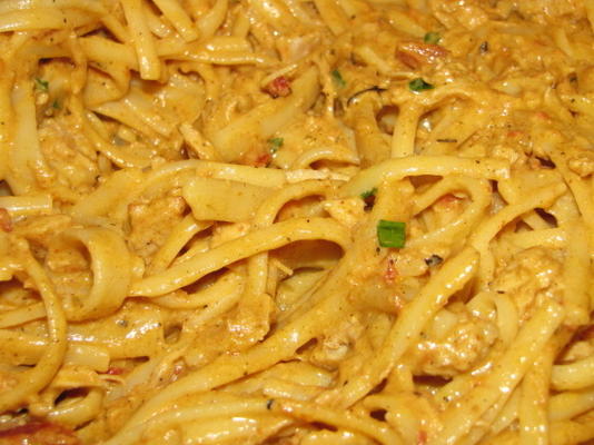 lichte (re) cajun kip alfredo