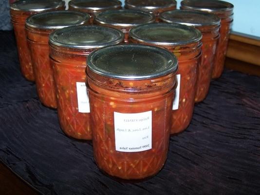 Zomer salsa van 2009