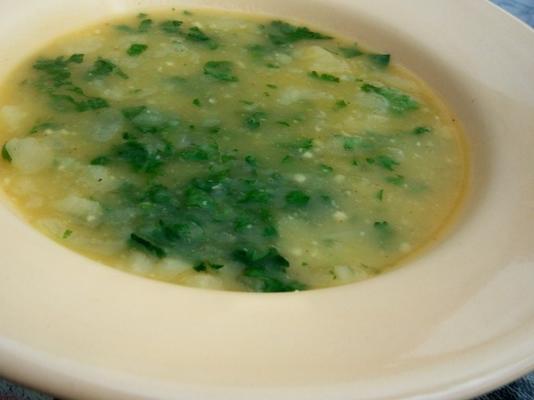 portugees koriander soep (sopa de coentro)