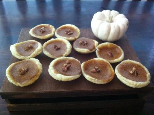 twee bijten pompoentaart