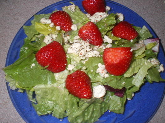 feta en aardbeisalade