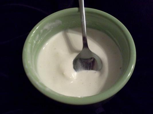vetvrije yoghurtmousse