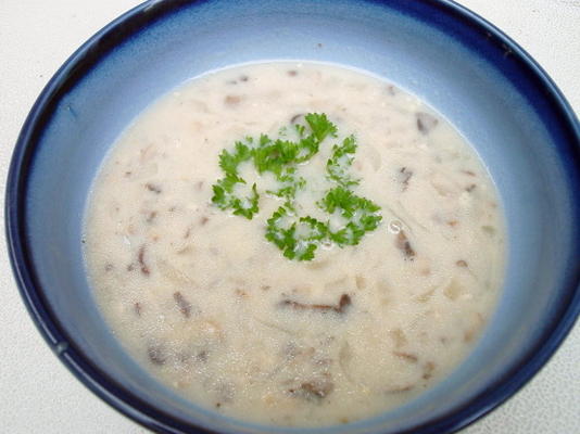 verse champignonsoep