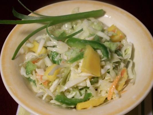 caraïbische koolsalade met oranje mangovulling