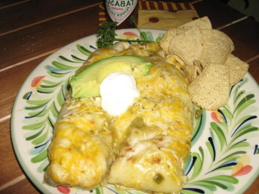 beroemde kip enchiladas