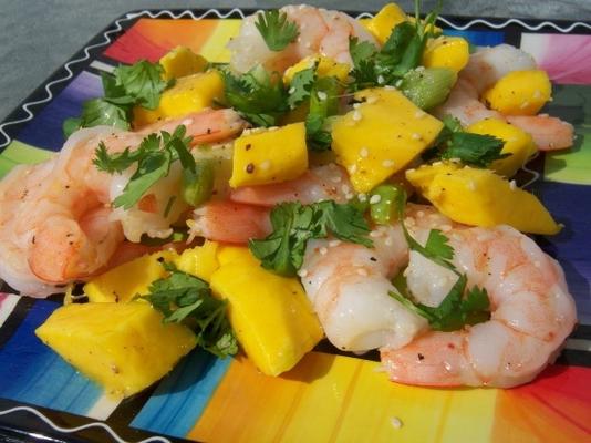 garnalensla met mango