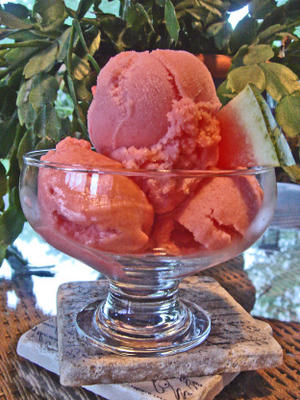 vetvrije watermeloen sorbet