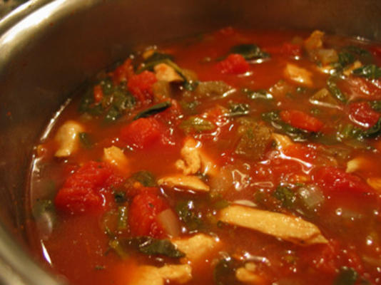 kippensoep met spinazie, aubergine en tomaat