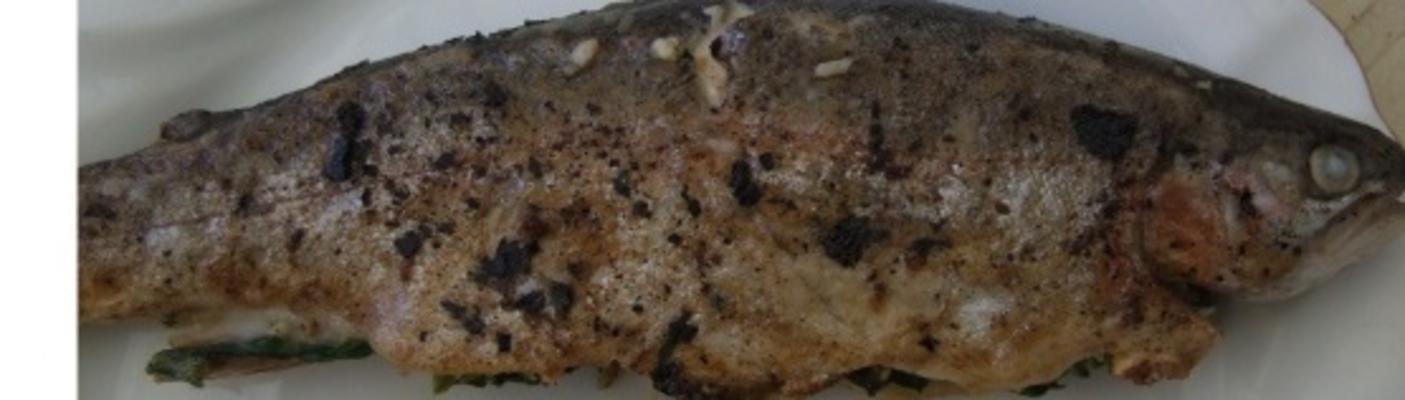 forel gevuld met knoflook en spinazie