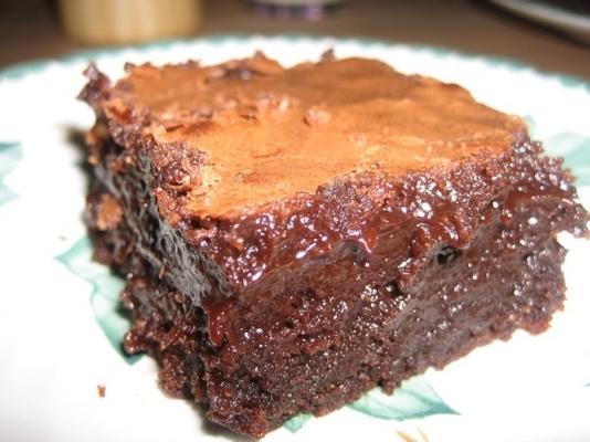 rijke fudgy brownies