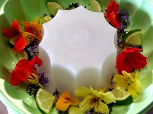 bevroren bloemkommen met fruit