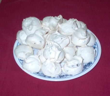 chocolate chip meringues (met gebruik van eiwitpoeder)