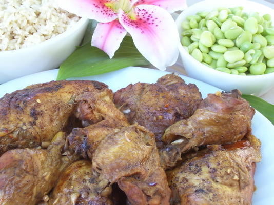 moeder's filipijnse kip adobo