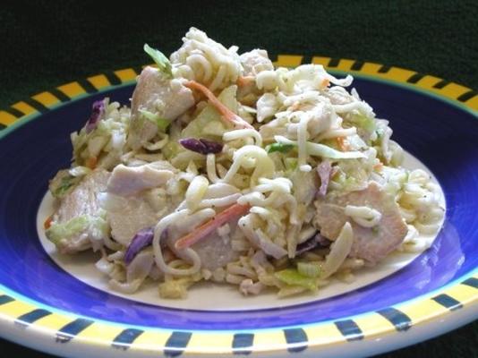 Aziatische stijl kipgerecht diner cole slaw