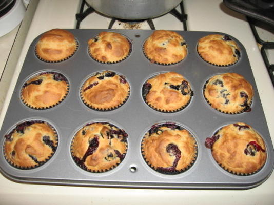 bosbessen yoghurt muffins