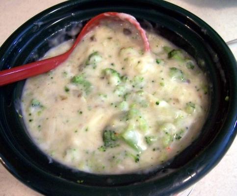 warme broccoli dip (crock pot of magnetron)