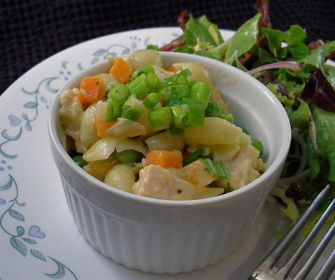 magere makkelijke macaroni en kaas met groenten