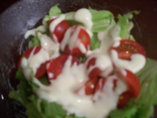 carrabba's italiaanse grill parmezaan dressing