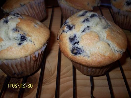 jumbo grote topchocolade (of bosbes) muffins