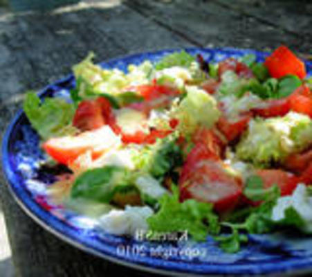 mozzarella salade met groene kruidendressing