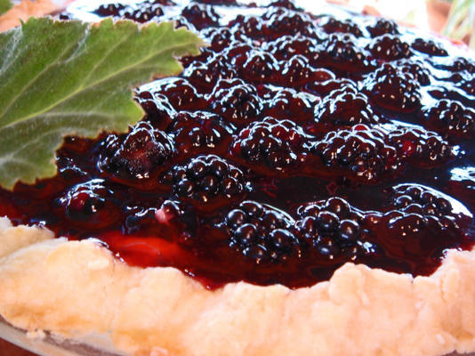 bev's bodacious blackberry bounty pie