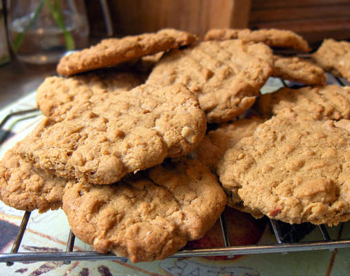 eenvoudige pindakaaskoekjes van het gourmet magazine