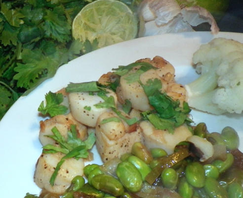 sint-jakobsschelpen met koriander en limoen (jack nicholson)