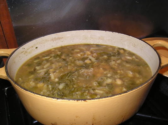 portugese spinazie en kikkererwtensoep (sopa de grao)
