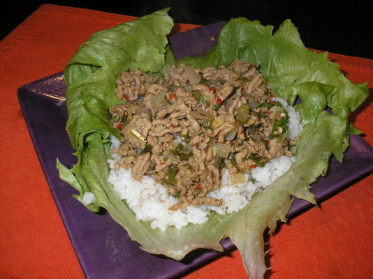 larb (laab) Thaise vleessalade met munt en citroengras