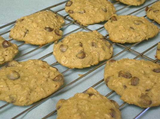 chewy havermout chocolate chip cookies