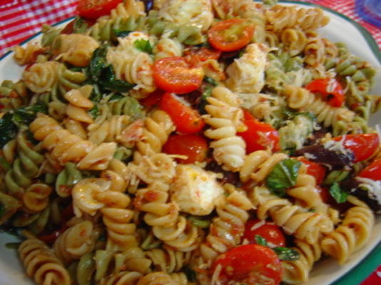 zongedroogde tomaat en verse mozzarella pastasalade